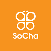 Socha LLC
