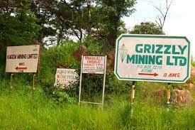 Grizzly Mining Limited