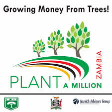 PlantAMillion
